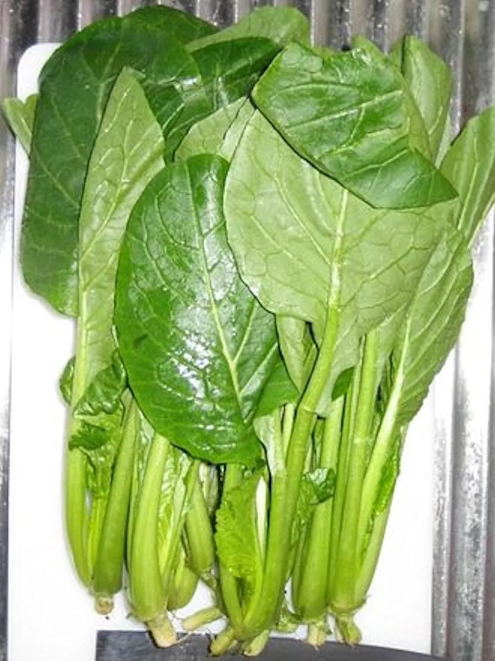 Komatsuna Seeds 2000 Count, Japanese Green Spinach Mustard, NON-GMO, Brassica rapa var. perviridis