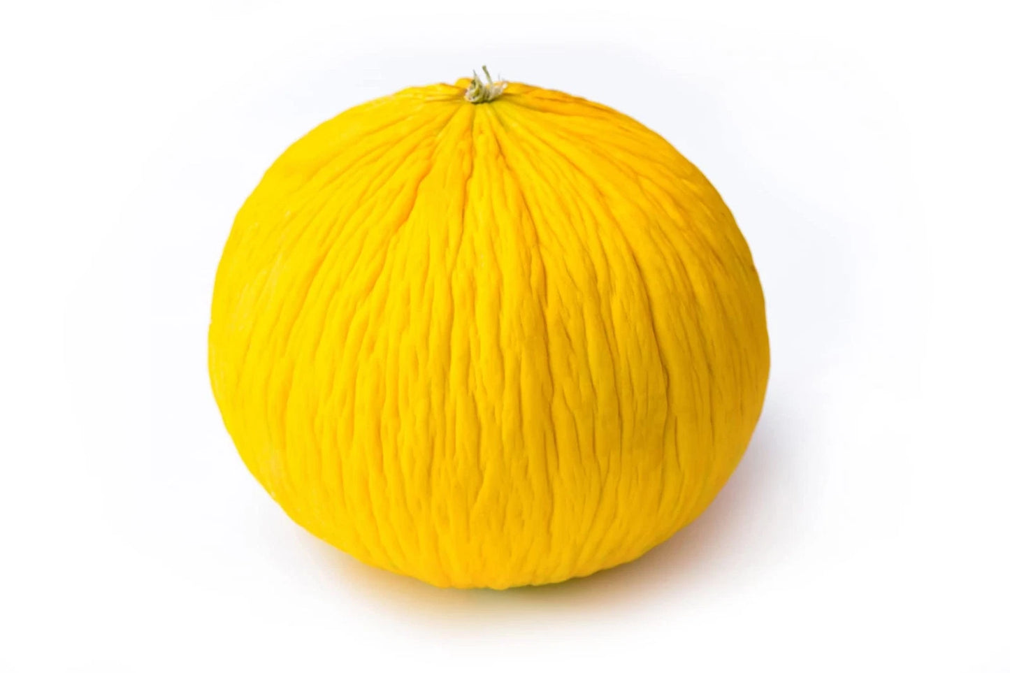 Golden Beauty Casaba Melon Seeds - 20 Count, Easy to Grow, Sweet Flavor, Cucumis melo