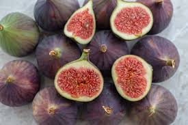 LSU Purple Fig Scion Cuttings 5 Pieces 5-7 Inches Long Ficus Carica Fruit Tree