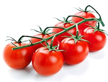 Alaska Grown Cherry Tomato Seeds - 25 Count - Indeterminate Variety - Cold Tolerant - Open Pollinated