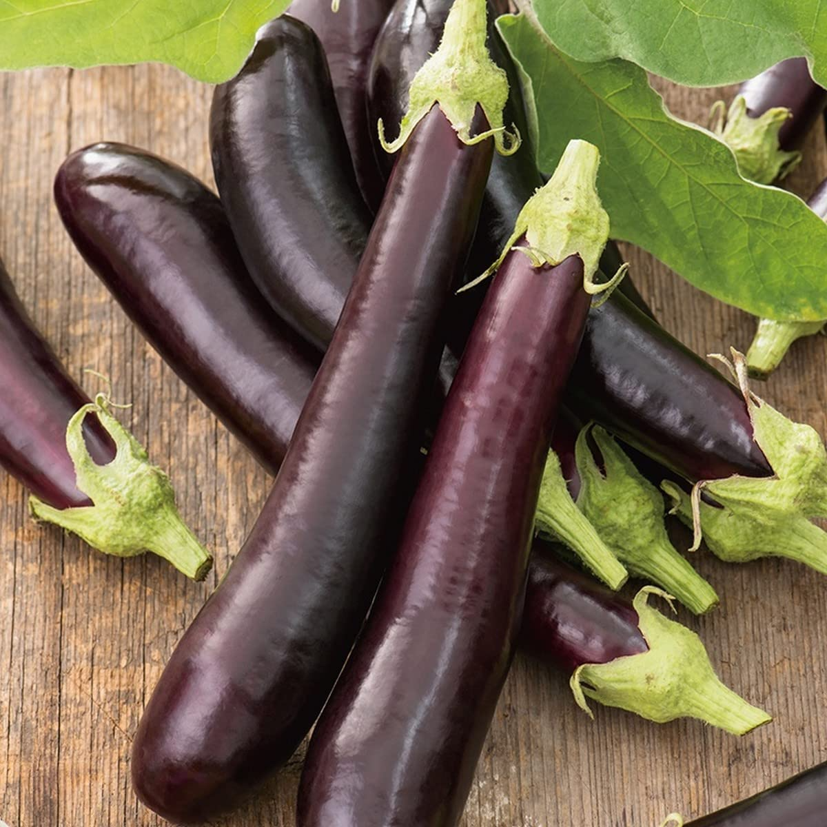 150 Long Purple Eggplant Seeds | Solanum melongena | Exotic Heirloom Vegetable | Non-GMO Seeds for Garden or Container Growing