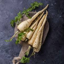 100+ Parsnip Seeds for Planting | Heirloom Pastinaca sativa | Cool Season Root Vegetable for Garden Beds, Raised Rows, or Containers