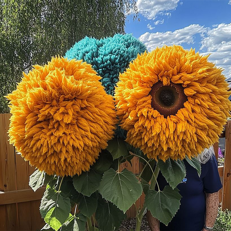 50 Rare Yellow & Blue Enchanting Giant Teddy Bear Sunflower Seeds - Unique Fluffy Blooms - Easy to Grow - Pollinator Friendly