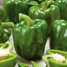 100+ Large Green Bell Pepper Seeds | Non-GMO Sweet Pepper Variety | Great for Salads, Stuffing, Grilling | Easy to Grow Vegetable