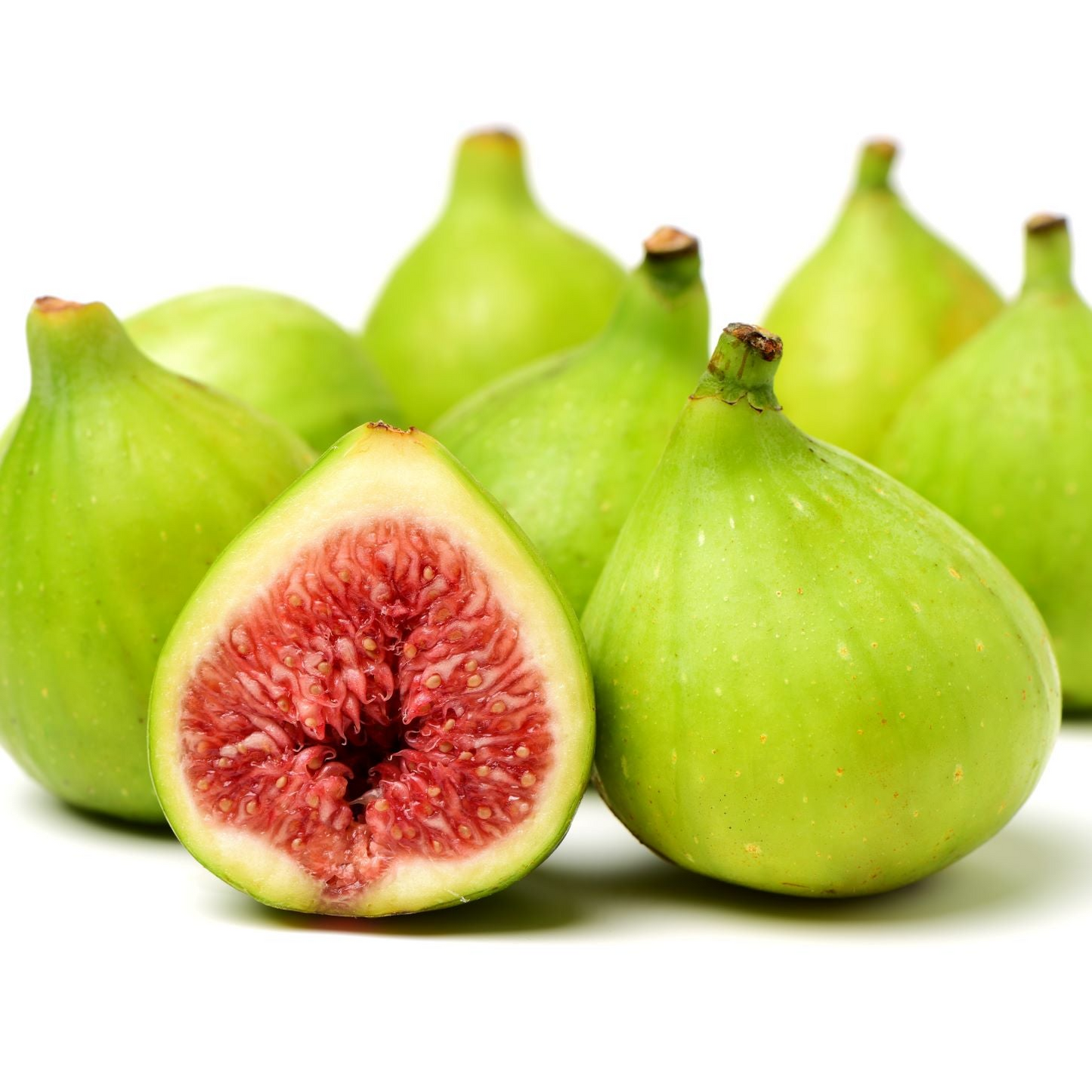 White Adriatic Fig Tree Cuttings | 5 Unrooted Cuttings | Heirloom Variety | Easy to Root | Home Garden Fruit Plant