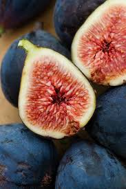 3 Black Mission Fig Trees - Ficus carica | Starter Plants | Sweet Edible Fruit Tree for Containers, Gardens, or Landscapes