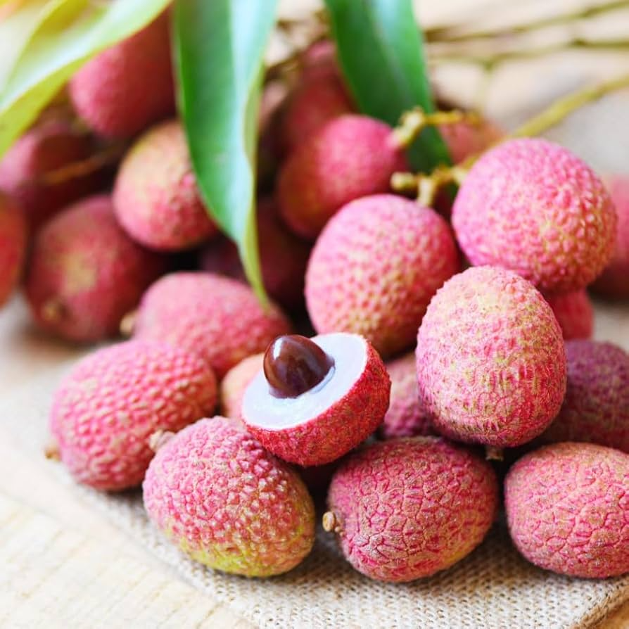 10 Seeds Lychee Tropical Fruit - Heirloom, Non-GMO Litchi Chinensis - Sweet, Juicy, Exotic Fruit Tree - Easy to Grow in Warm Climates