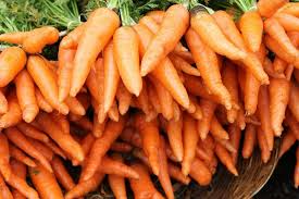 250 Tendersweet Carrot Seeds for Planting | Heirloom Non-GMO | Sweet, Crunchy Roots for Garden Beds, Containers & Raised Beds
