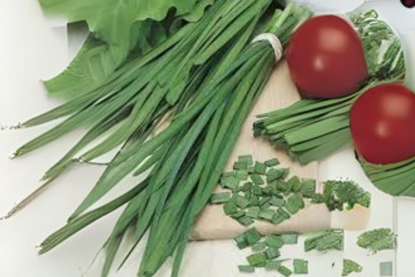Garlic Chives Seeds: Heirloom Culinary Herb - Easy Garden Growing