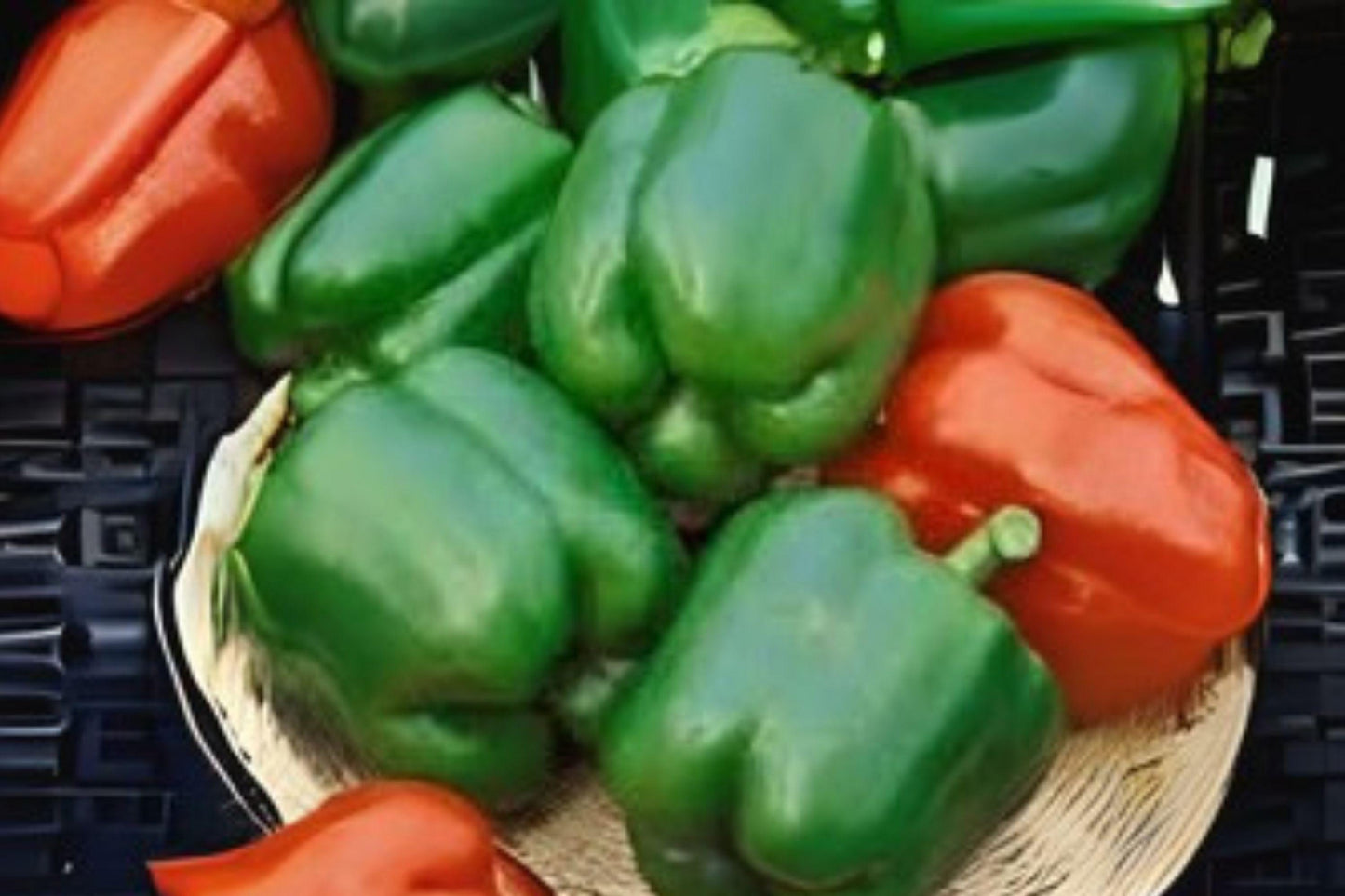 Yolo Wonder Bell Pepper Seeds: Heirloom Sweet Peppers, Garden Variety (30 Seeds)