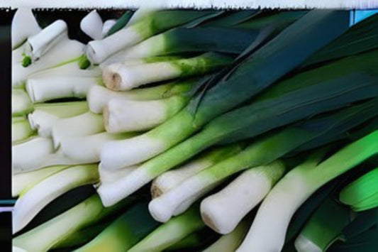 150 American Flag Leek Seeds – Heirloom Vegetable, Easy Garden Growing
