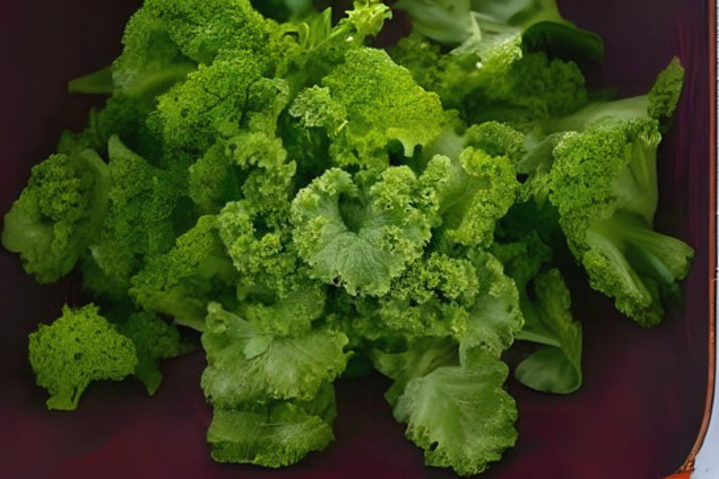 500 Southern Giant Curled Mustard Seeds: Heirloom Leafy Greens