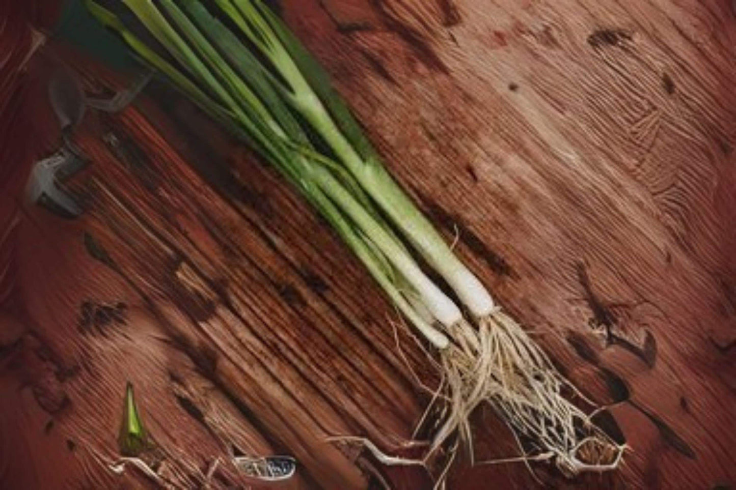 250 Seeds Onion-Bunching Tokyo Long – Non-Bulbing Green Onion, Mild Flavor, Easy to Grow