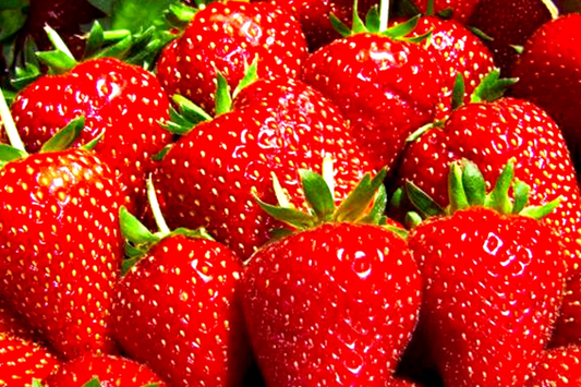 Berry Red Strawberry Seeds - 150 or 350 Non-GMO Flower Seeds - Fragaria x ananassa