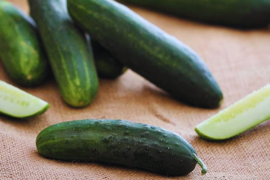 Marketmore 76 Cucumber Seeds - 50+ Non-GMO Heirloom Fresh Garden Seeds - Cucumis sativus - USA