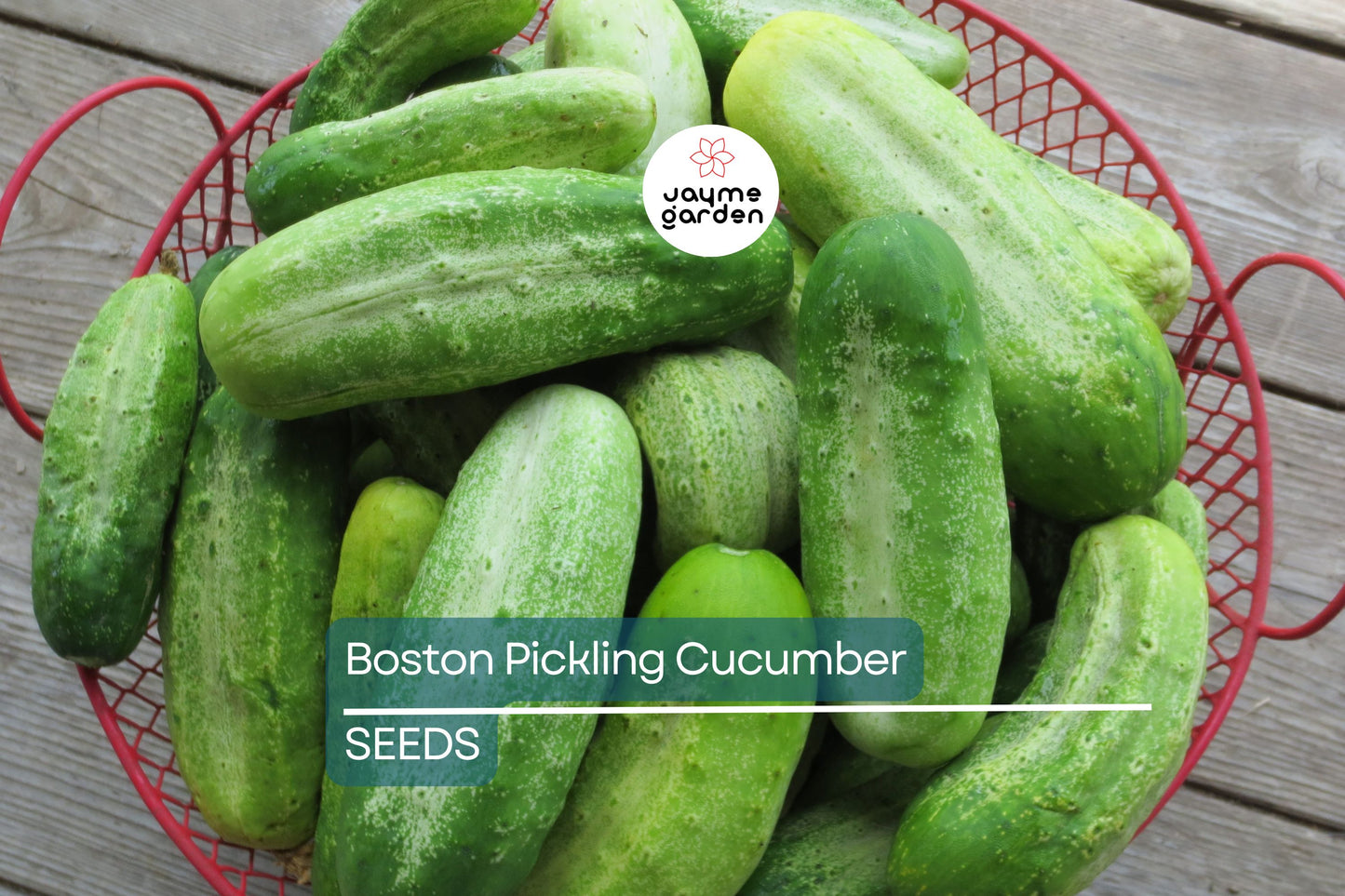 Boston Pickling Cucumber Seeds – Heirloom, Non-GMO, Ideal for Pickles