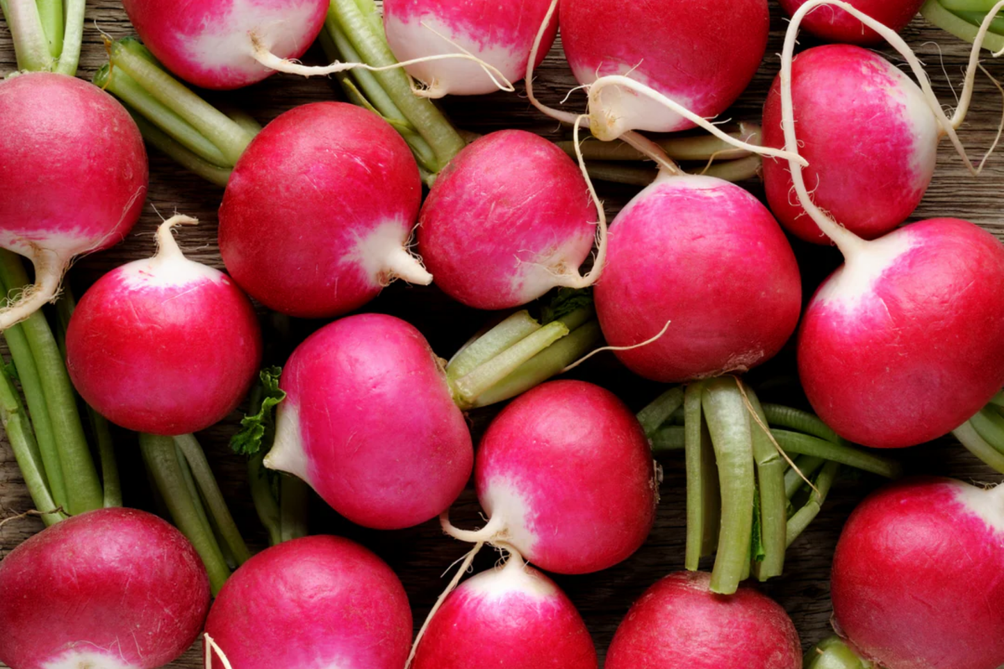 Champion Radish Seeds | Organic Non-GMO | Fast-Growing Vegetable Seeds | Raphanus sativus