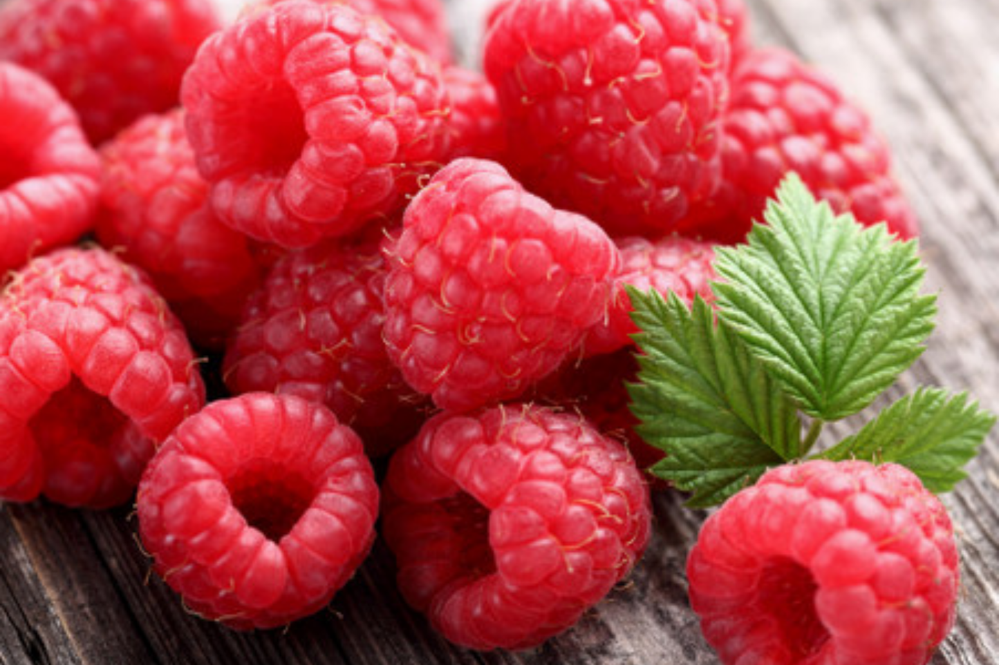 Prism Raspberry Seeds - Non-GMO Fruit Seeds, Bulk Options - 125, 300, 750 Seeds - Rubus idaeus