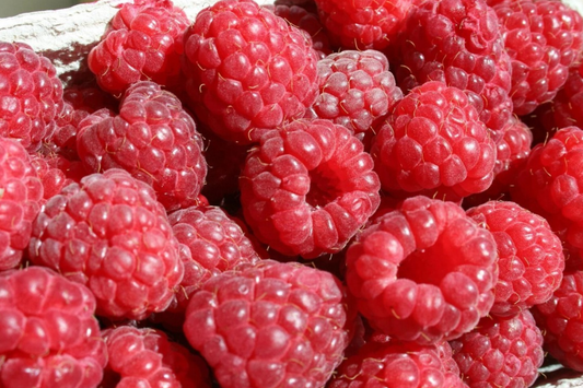 Berrylicious Raspberry Seeds - Non-GMO Fruit Seeds, 125/300/750 Count, Bulk Seed for Gardening (Rubus idaeus)