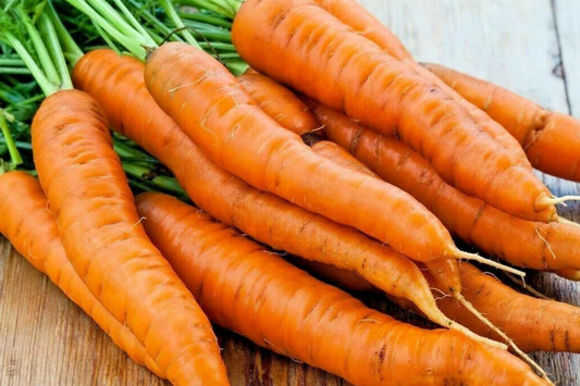 Carrot Vegetable Seeds 400+ Non-GMO Garden Seeds, Multiple Varieties, Daucus carota