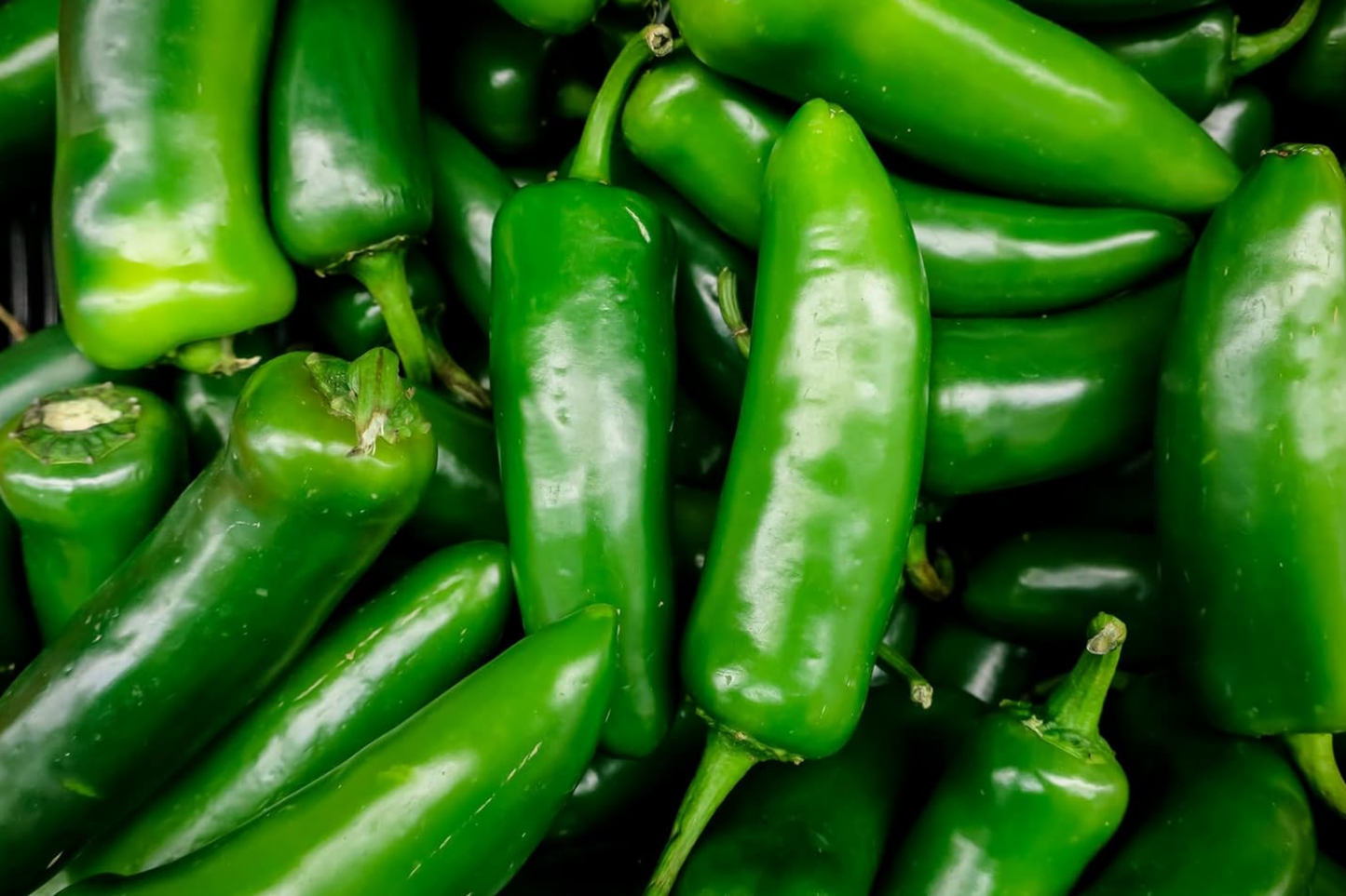 Jalapeno Pepper Seeds | 100+ Non-GMO Heirloom Seeds | Capsicum annuum | Vegetable Garden Seeds from USA