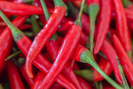 Cayenne Pepper Seeds - 50+ Non-GMO Fresh Garden Seeds - Capsicum annuum