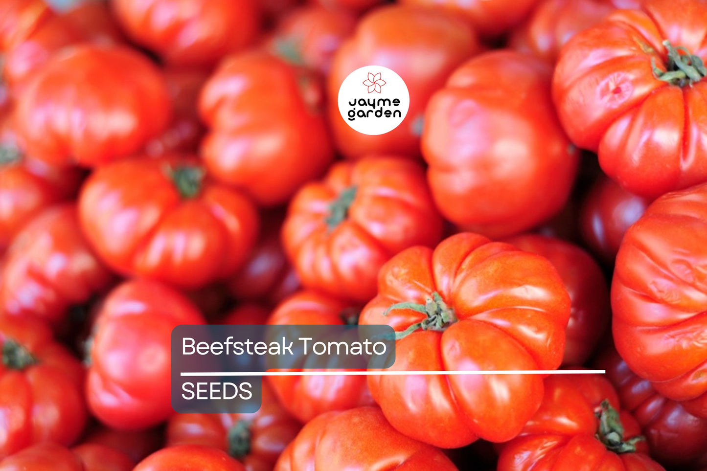 Beefsteak Tomato Seeds | Heirloom, Non-GMO | 12 oz-2 lbs Fruit | 90 Days | USDA Zones 3-10 | Free Shipping