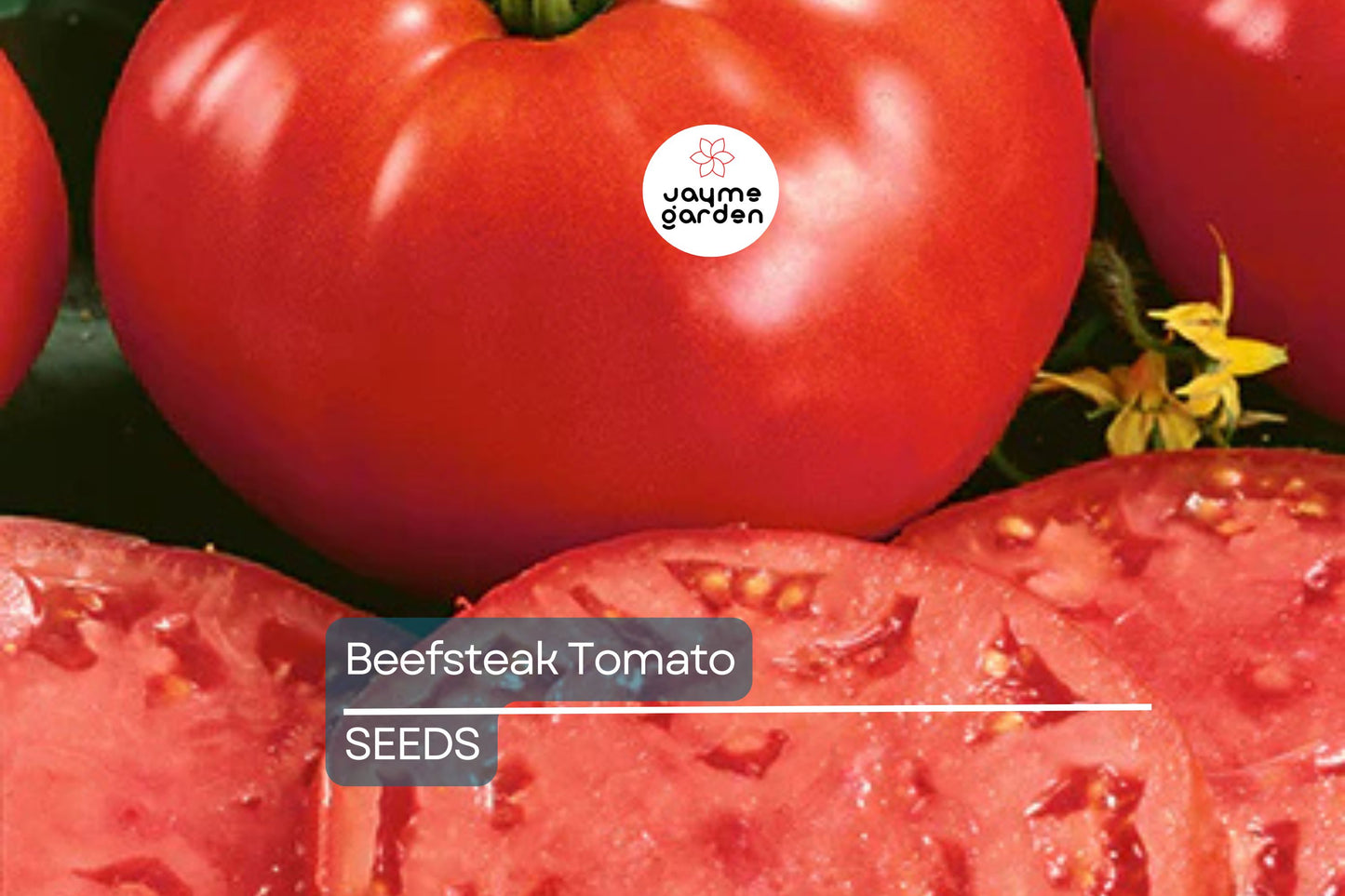 Beefsteak Tomato Seeds | Heirloom, Non-GMO | 12 oz-2 lbs Fruit | 90 Days | USDA Zones 3-10 | Free Shipping