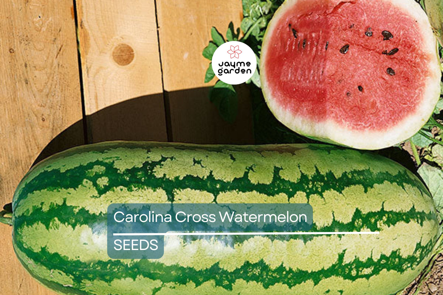 Carolina Cross Watermelon Seeds | Heirloom, Non-GMO | 50-200 lbs Fruit | 95 Days | USDA Zones 3-10 | Free Shipping