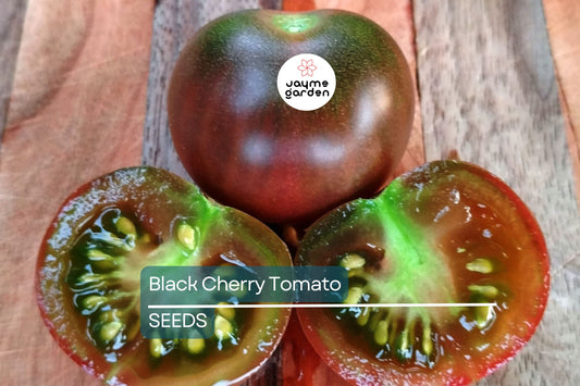 Black Cherry Tomato Seeds | Heirloom, Non-GMO | 1" Fruit | 65 Days | USDA Zones 3-10 | Free Shipping