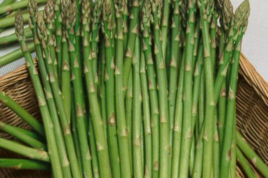 Asparagus Mary Washington 1 Gram Seeds - Heirloom Non-GMO Variety for Perennial Vegetable Gardening - Tender & Delicious Stalks