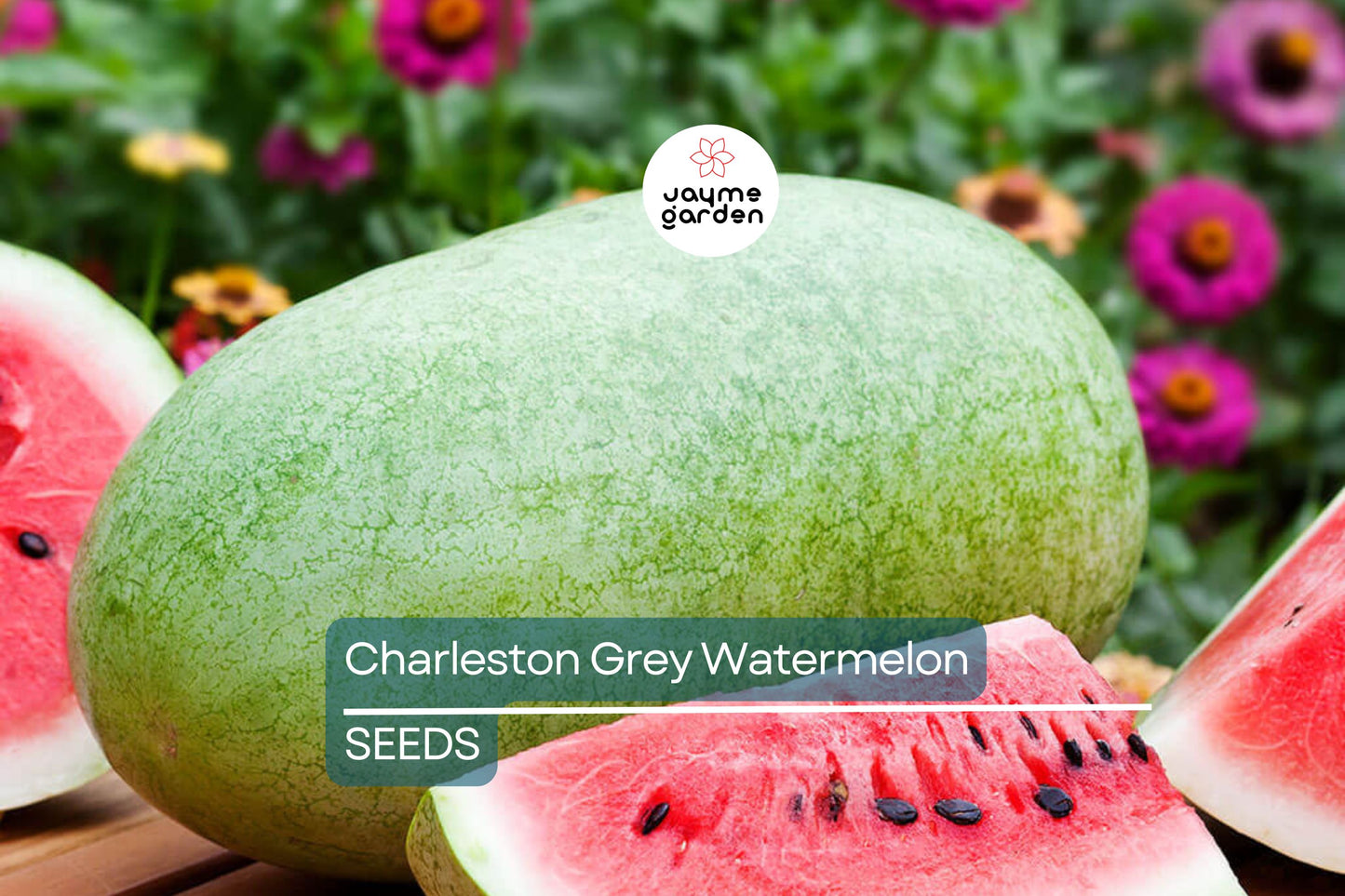 Charleston Grey Watermelon Seeds | Heirloom | Sweet Red Flesh | Fusarium Wilt Resistant | Non-GMO | Free Shipping