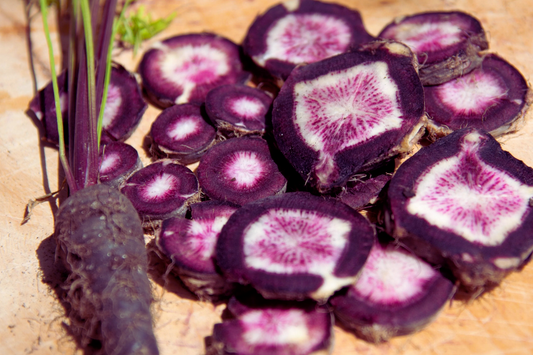 Black Nebula Carrot Seeds | Dark Purple Vegetable Seeds | Daucus carota