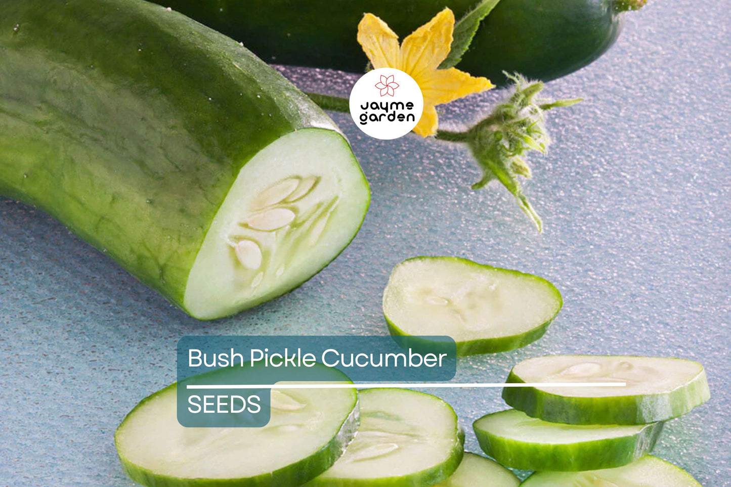 Bush Pickle Cucumber Seeds | F1 Hybrid, Non-GMO | 4-5 Inch Fruit | 50 Days | USDA Zones 2-10 | Free Shipping