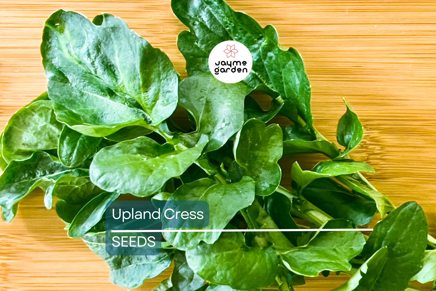 Upland Cress Seeds | Heirloom | Peppery Greens | Non-GMO | Free Shipping | Zones 3-9