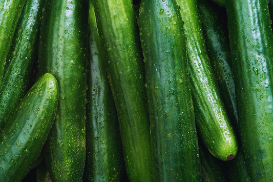 Burpless Cucumber Seeds - Long Summer Hybrid | Vegetable Gardening Seeds for Home Growers