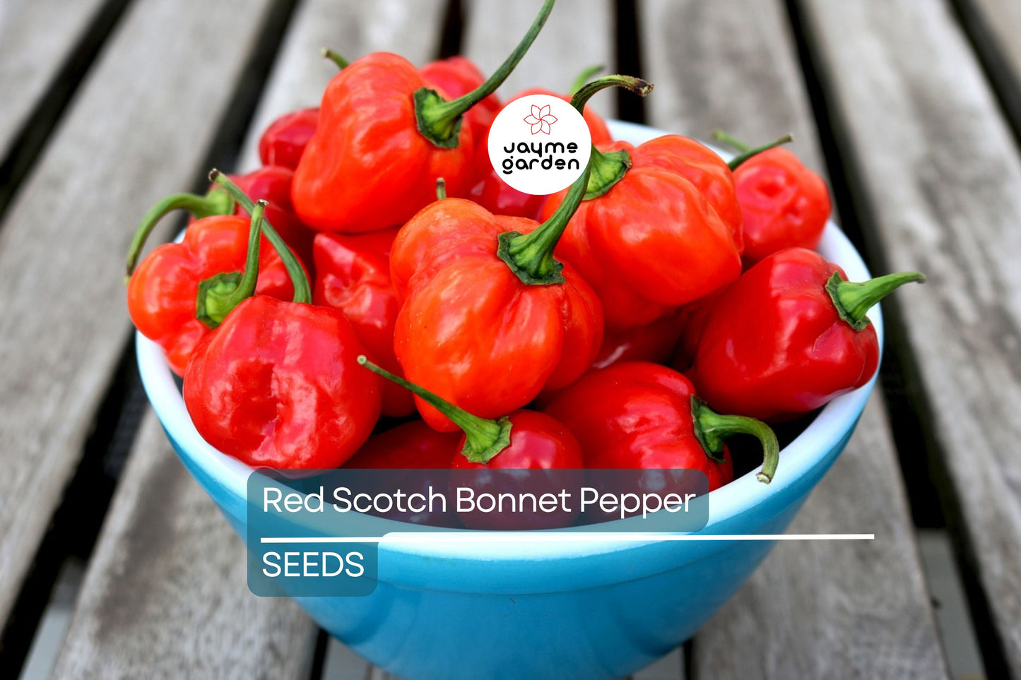 Red Scotch Bonnet Pepper Seeds | Heirloom, Non-GMO | 100,000-350,000 Scoville | 100 Days | USDA Zones 3-9 | Free Shipping