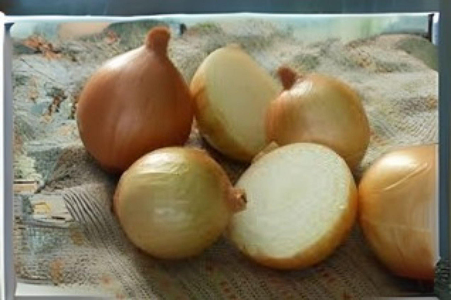 Texas Grano 502 Onion Seeds - Sweet Yellow Heirloom Variety