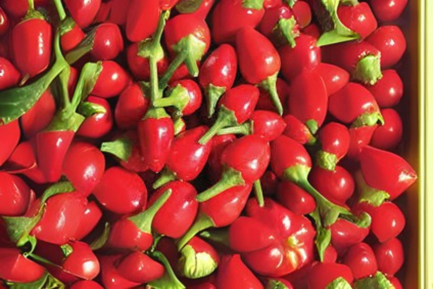 Chiltepin Hot Pepper Seeds: Heirloom Capsicum Annuum, Tiny Wild Chili