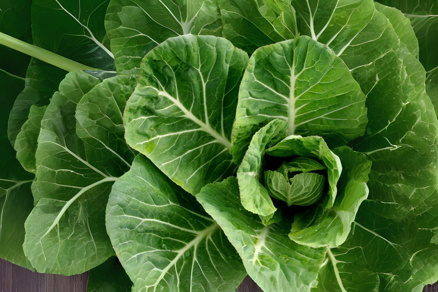 300 Collard Vates Seeds: Heirloom, Cold-Hardy, Blue-Green Leaves
