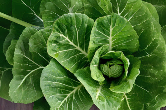 300 Collard Vates Seeds: Heirloom, Cold-Hardy, Blue-Green Leaves