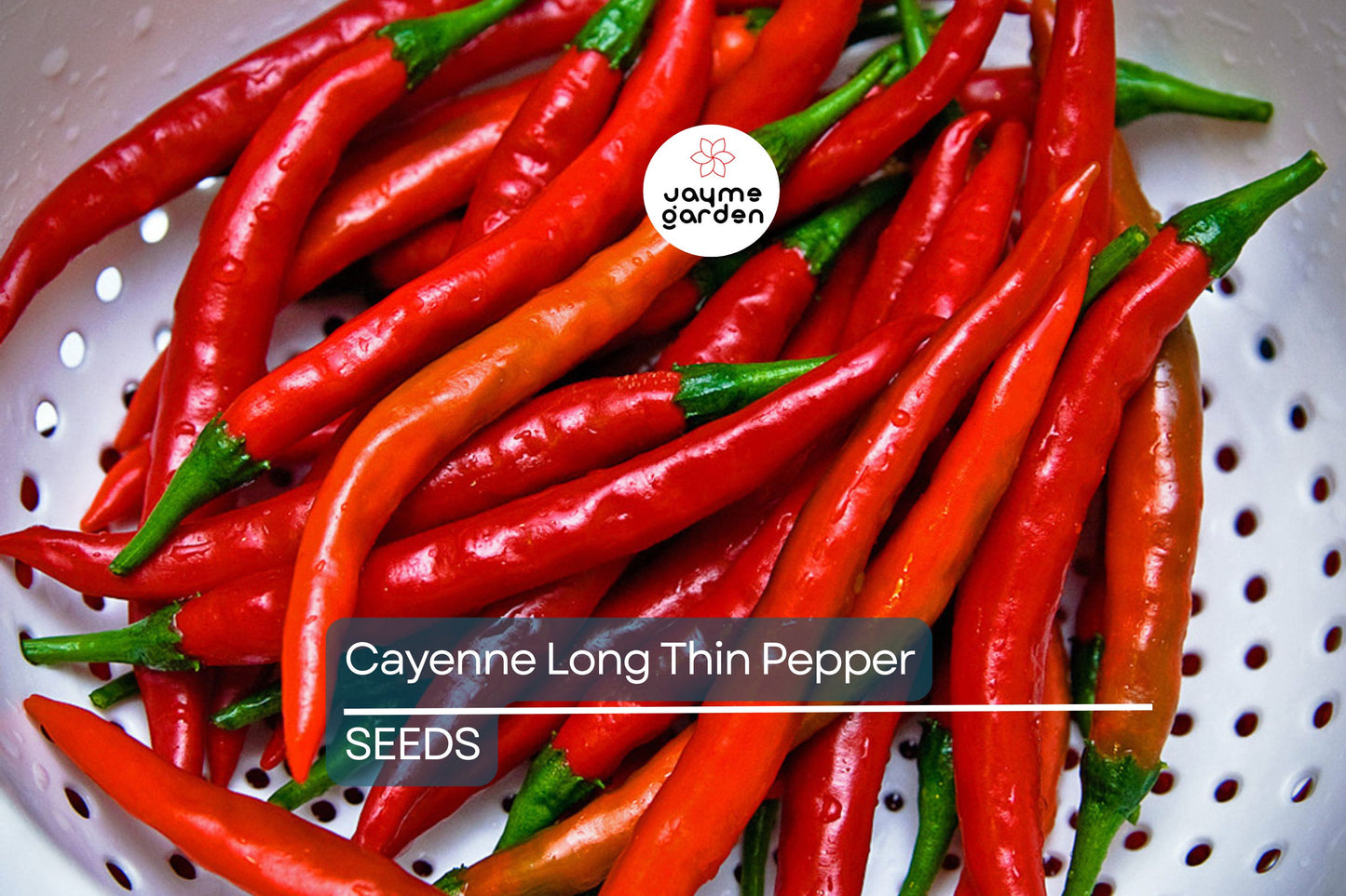 Cayenne Long Thin Pepper Seeds | Heirloom, Non-GMO | 30,000-50,000 Scoville | 75 Days | USDA Zones 4-10 | Free Shipping