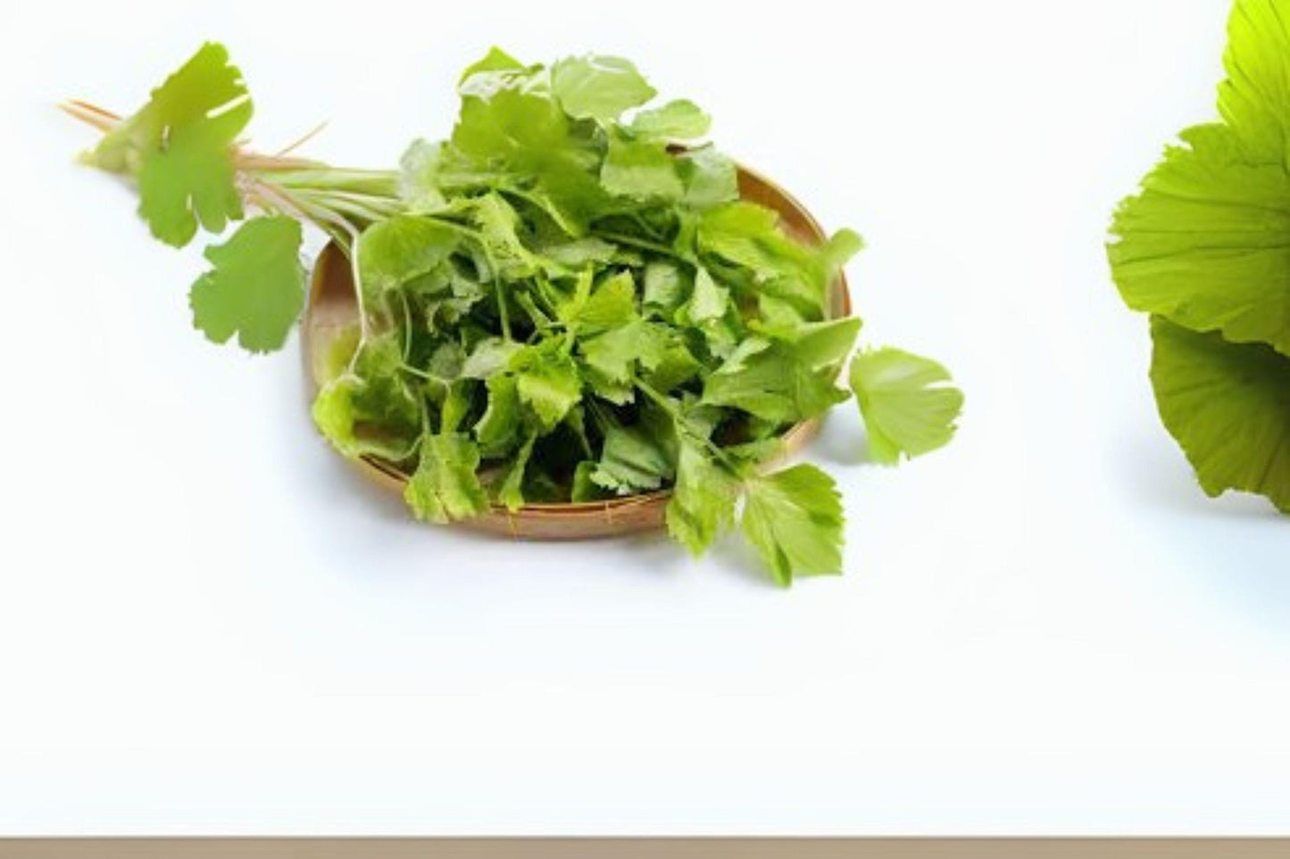 Chinese Celery Kintsai Seeds: Aromatic Heirloom, Dark Green