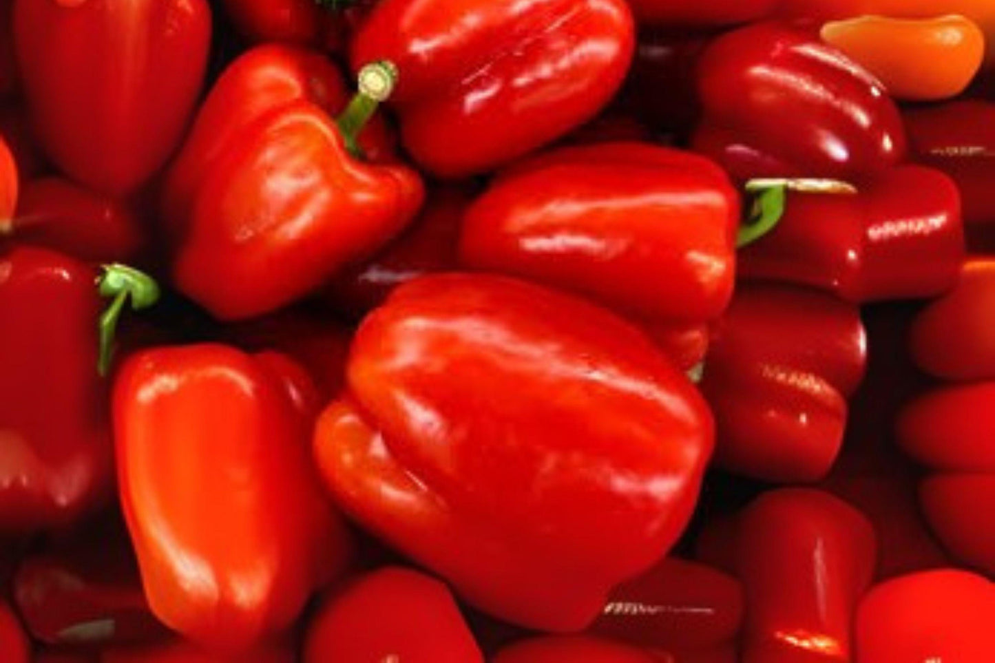 California Wonder Sweet Bell Pepper Seeds: Heirloom Variety, 30 Seeds