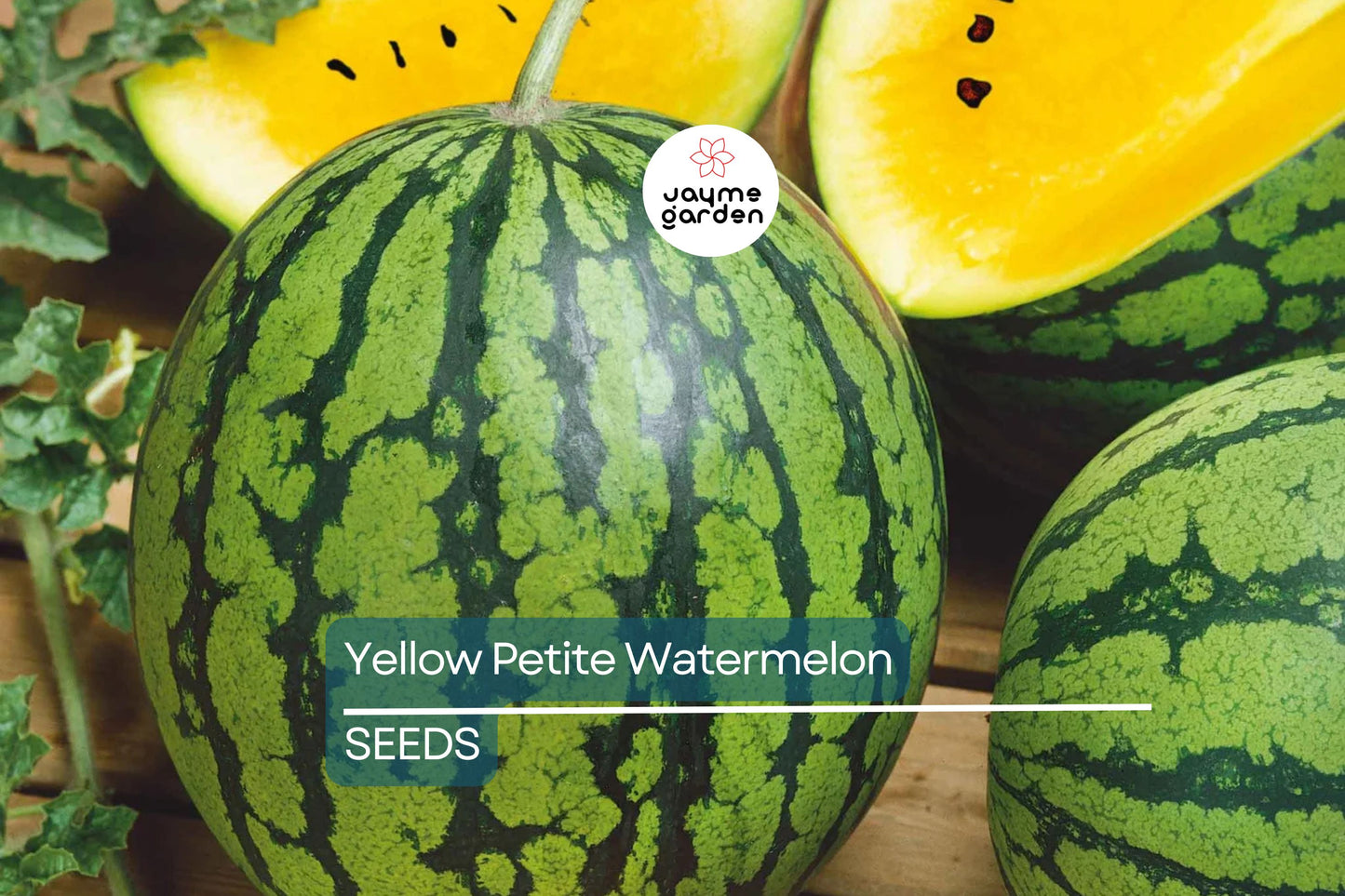 Yellow Petite Watermelon Seeds - Heirloom, Non-GMO - 70 Days to Maturity - Sweet Yellow Flesh - USDA Zones 3-10 - Perfect for Small Gardens