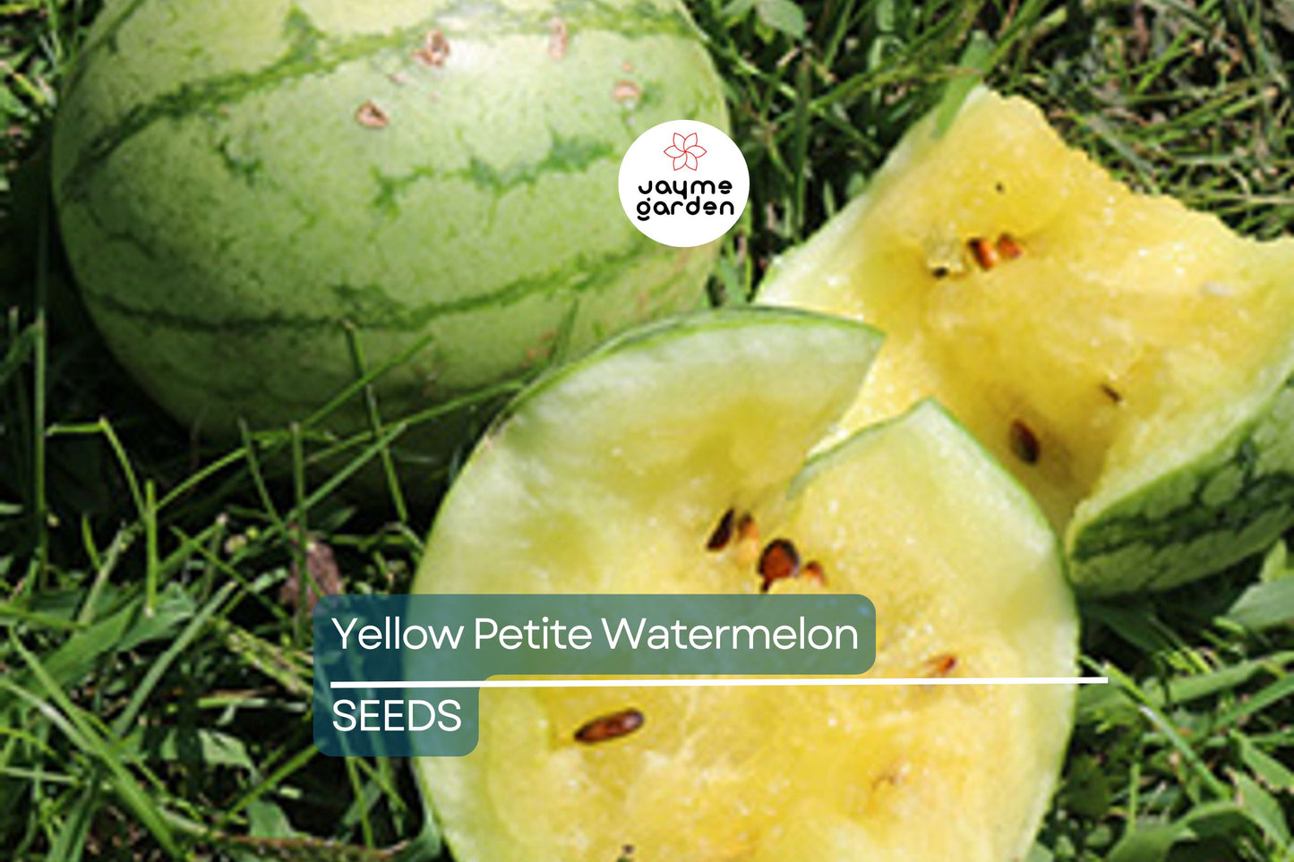 Yellow Petite Watermelon Seeds - Heirloom, Non-GMO - 70 Days to Maturity - Sweet Yellow Flesh - USDA Zones 3-10 - Perfect for Small Gardens