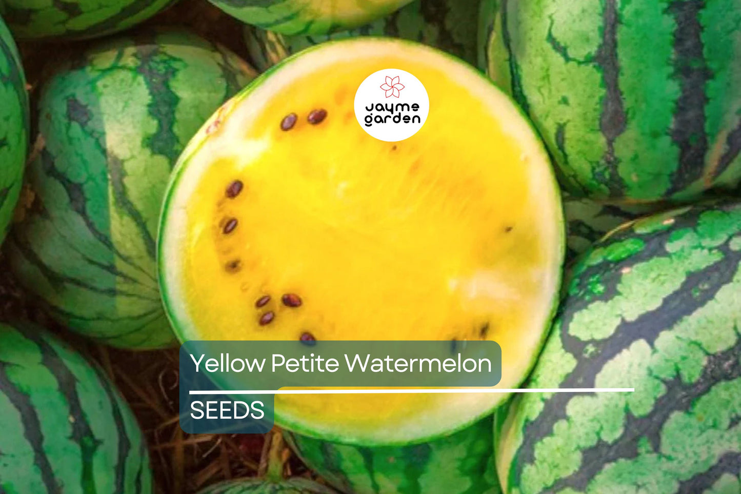 Yellow Petite Watermelon Seeds - Heirloom, Non-GMO - 70 Days to Maturity - Sweet Yellow Flesh - USDA Zones 3-10 - Perfect for Small Gardens