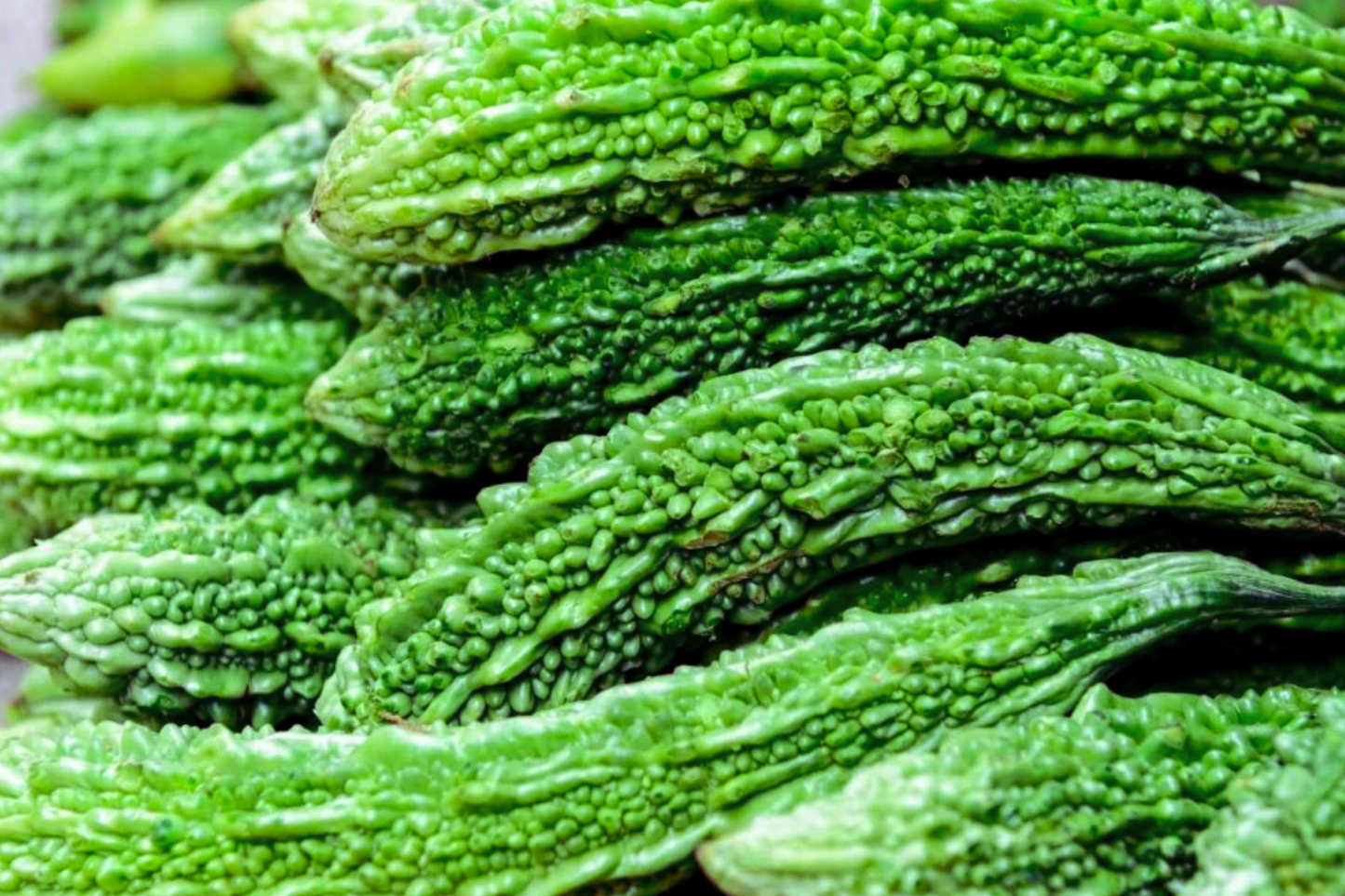 Bitter Gourd Seeds | Green Skin Long Variety | Bitter Melon Seeds | Momordica charantia