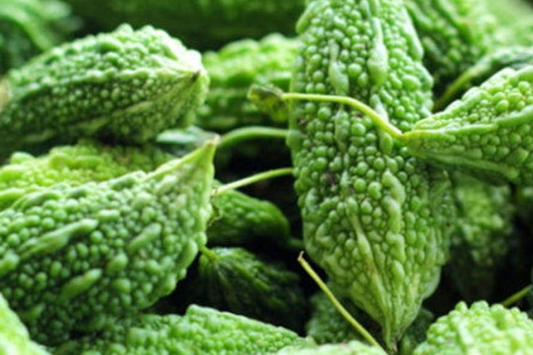 Bitter Gourd Seeds 12 Pack | Green Skin Long Bitter Melon Seeds | Momordica charantia