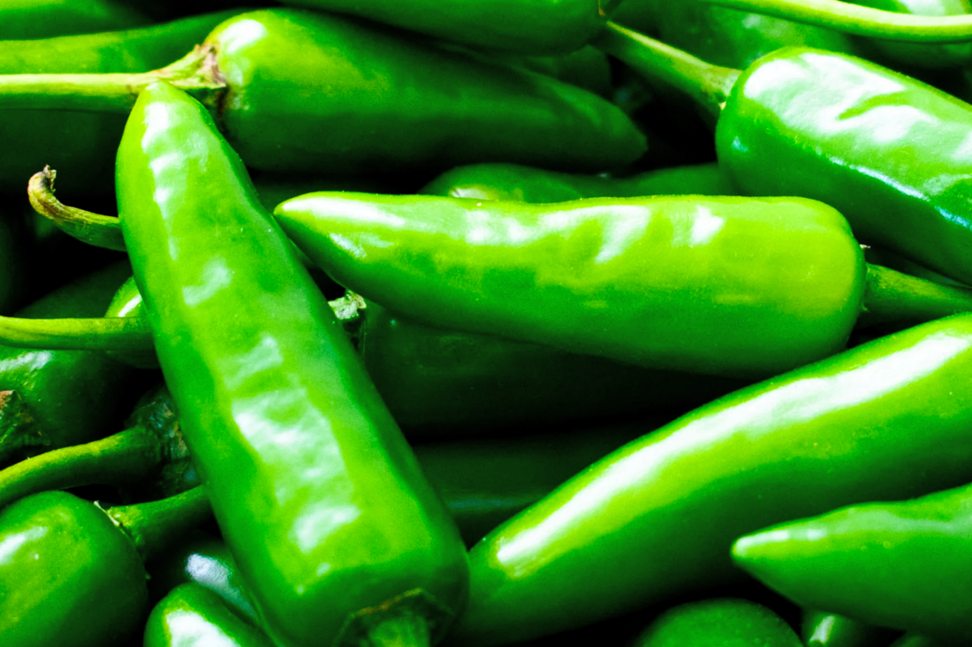 Anaheim Hot Pepper Seeds | Green Chili Pepper | NON-GMO Capsicum annuum